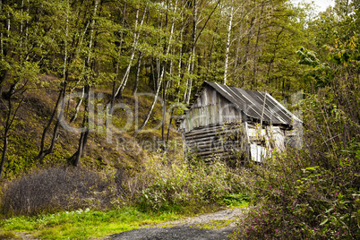 old deserted house in the forest