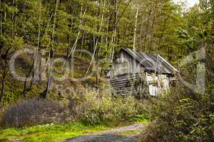 old deserted house in the forest