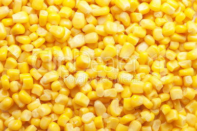 tinned corn background