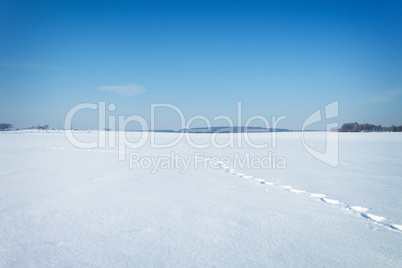 winter natural landscape covered with snow and blue sky