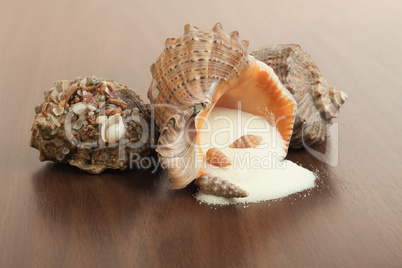 bath salt and seashells on the wooden background