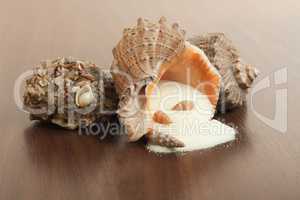 bath salt and seashells on the wooden background