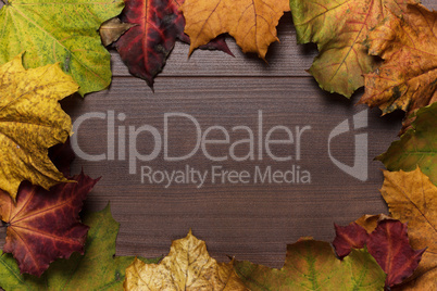 colorful autumn leaves frame on wooden background