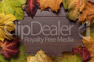 colorful autumn leaves frame on wooden background