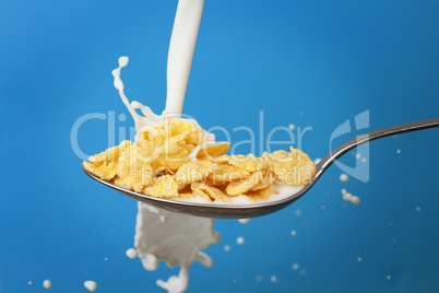 milk splashing into spoon with cornflakes over blue background