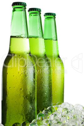 three green beer bottles with ice isolated over white background
