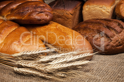 variety of fresh bread with rye ears