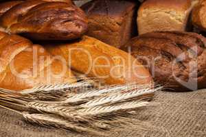 variety of fresh bread with rye ears