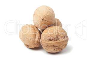 Circassian walnut isolated over white background