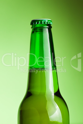 beer bottle on the green background