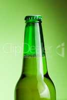 beer bottle on the green background