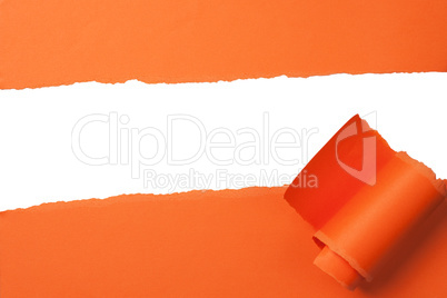bright orange teared paper with copy space