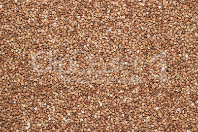 buckwheat background