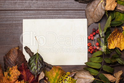 colorful autumn leaves and blank sheet of paper background