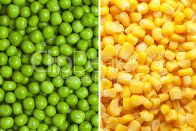 composition of peas and corn