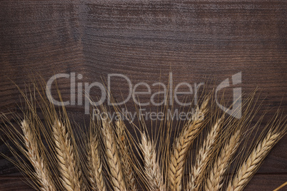 ears of rye on wooden background