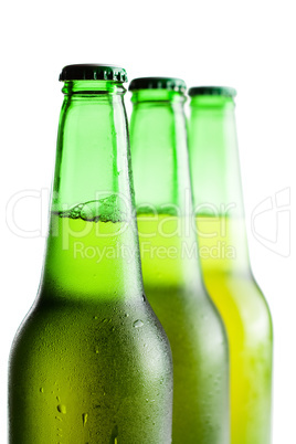 green beer bottles isolated over white background