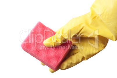 hand in protective glove holding red  sponge isolated over white