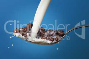 milk splashing into spoon full of chocolate cornballs