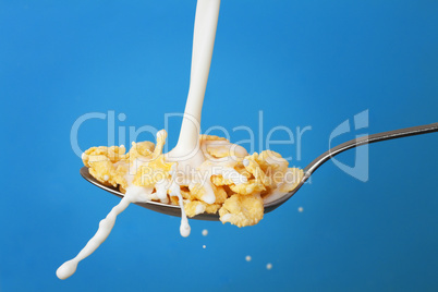 milk splashing into spoon with cornflakes over blue