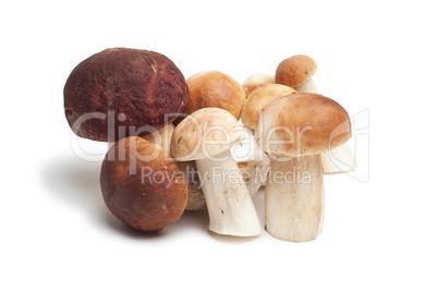 mushrooms isolated on white background