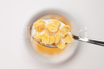 spoon full of cornflakes close-up breakfast concept