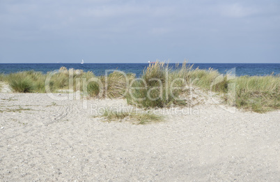 sand dunes in autumn