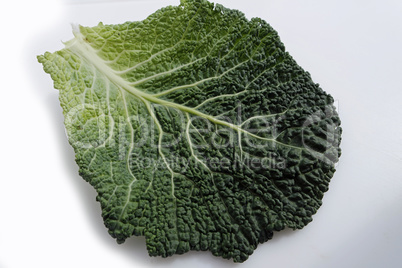 savoy cabbage