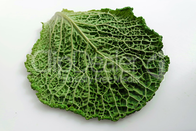 savoy cabbage