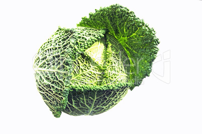 savoy cabbage