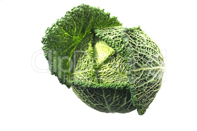 savoy cabbage