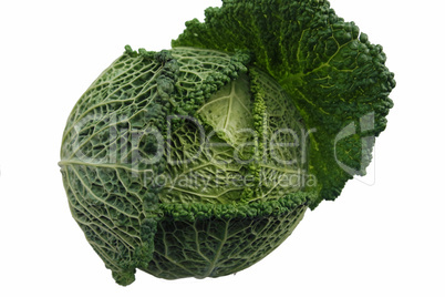 savoy cabbage