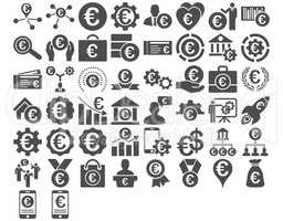 Euro Business Icons
