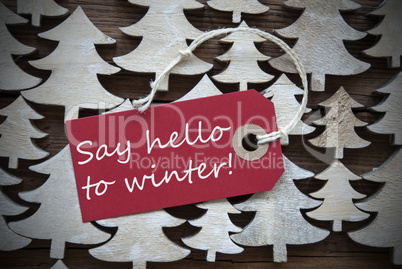 Red Christmas Label With Say Hello To Winter