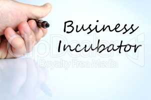 Business incubator text concept