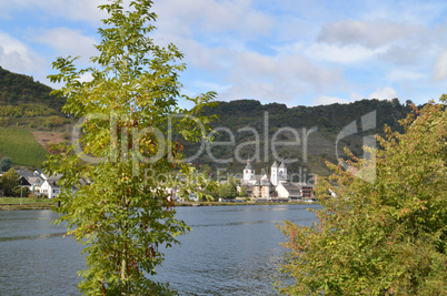 Die Mosel bei Treis-Karden