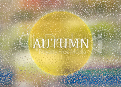 Drops Of Rain On Glass Background. Nature Out Focus. Autumn Abstract Backdrop