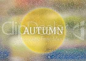 Drops Of Rain On Glass Background. Nature Out Focus. Autumn Abstract Backdrop