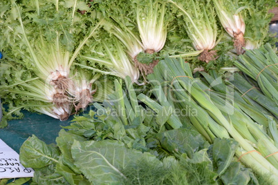 Lauch und Salat