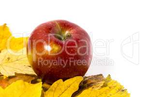 multicolored autumn leaves with organic apples on a white backgr