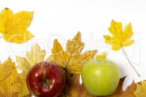 Apples with Autumn leaves