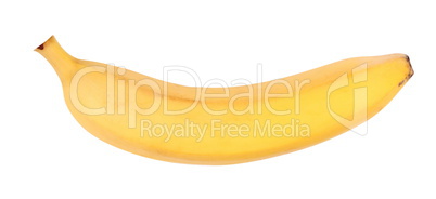 Yellow Banana Isolated