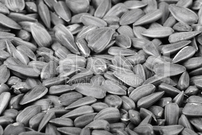 mamy of sunflower seeds