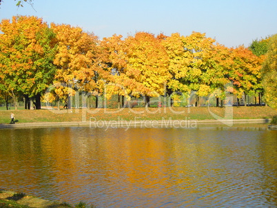 autumn in city park