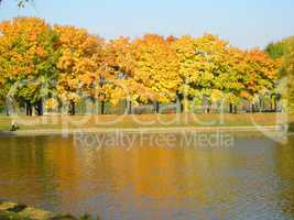 autumn in city park