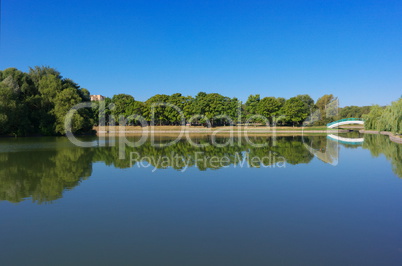 summer in city park