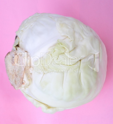 Head of White Cabbage on Pink Background