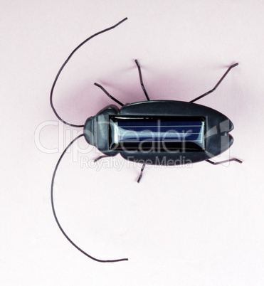 Electronic Bug Toy on Pink Background