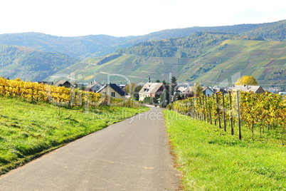 Weinbergsweg bei Wintrich