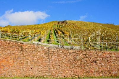 Weinberge und hohe Mauer